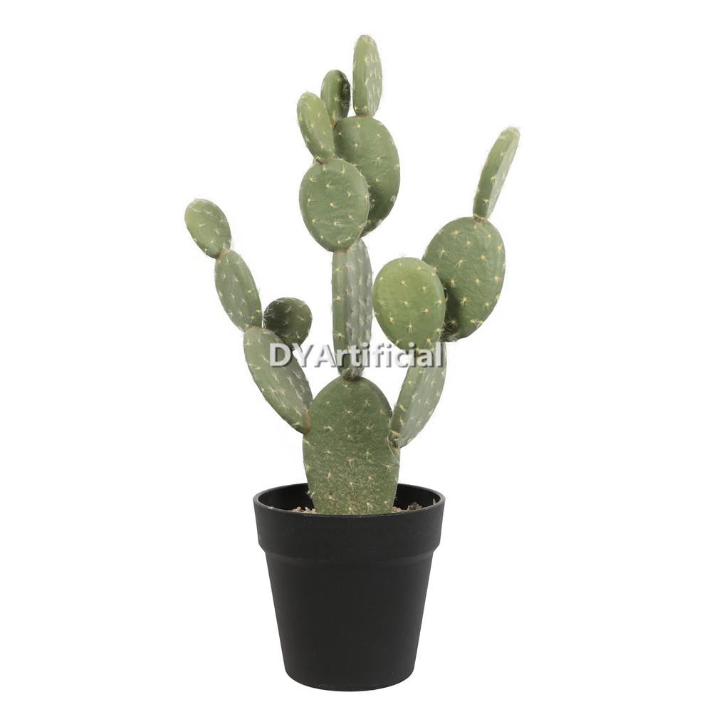 Cactus In Plastic Pot 47CM Height Indoor