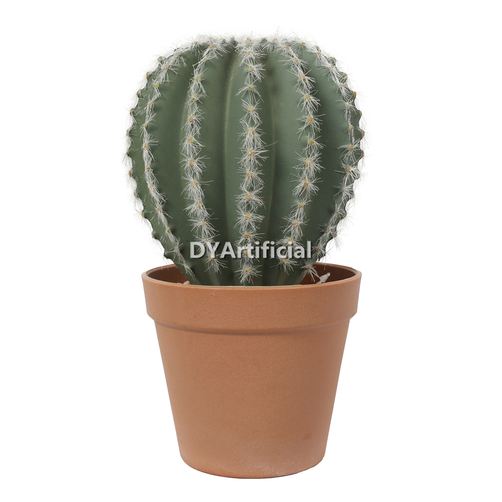 #L Cactus In Plastic Pot 24CM Height Indoor