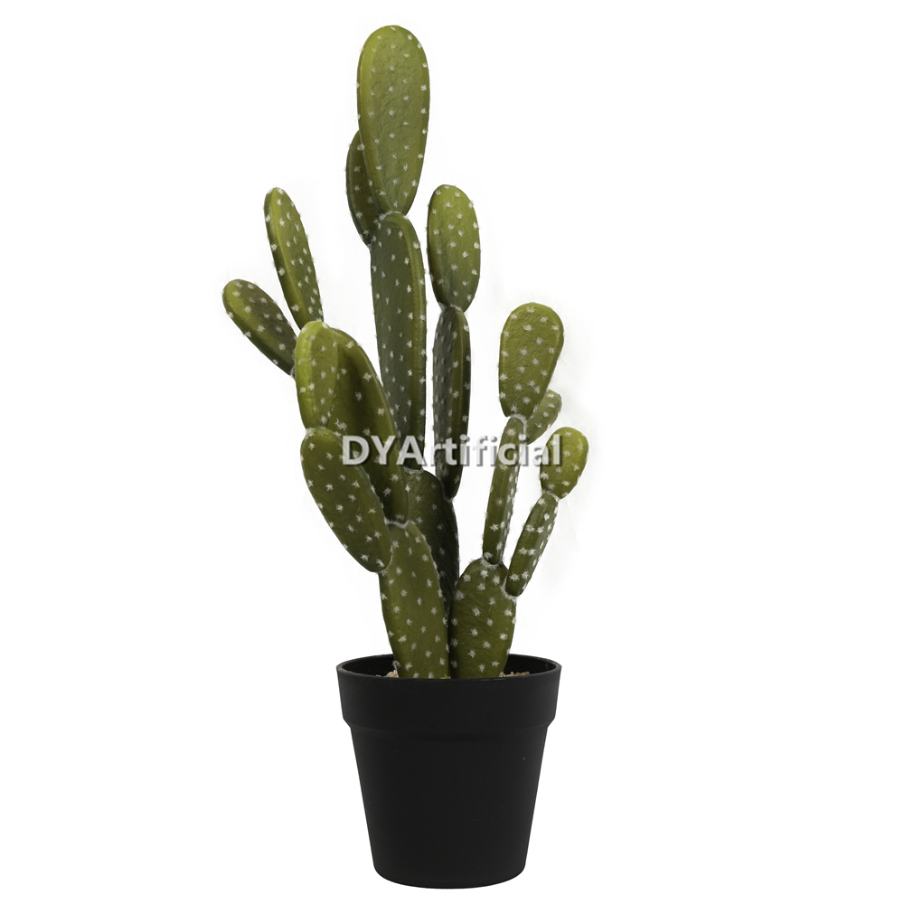 Cactus With Plastic Pot 55CM Height Indoor