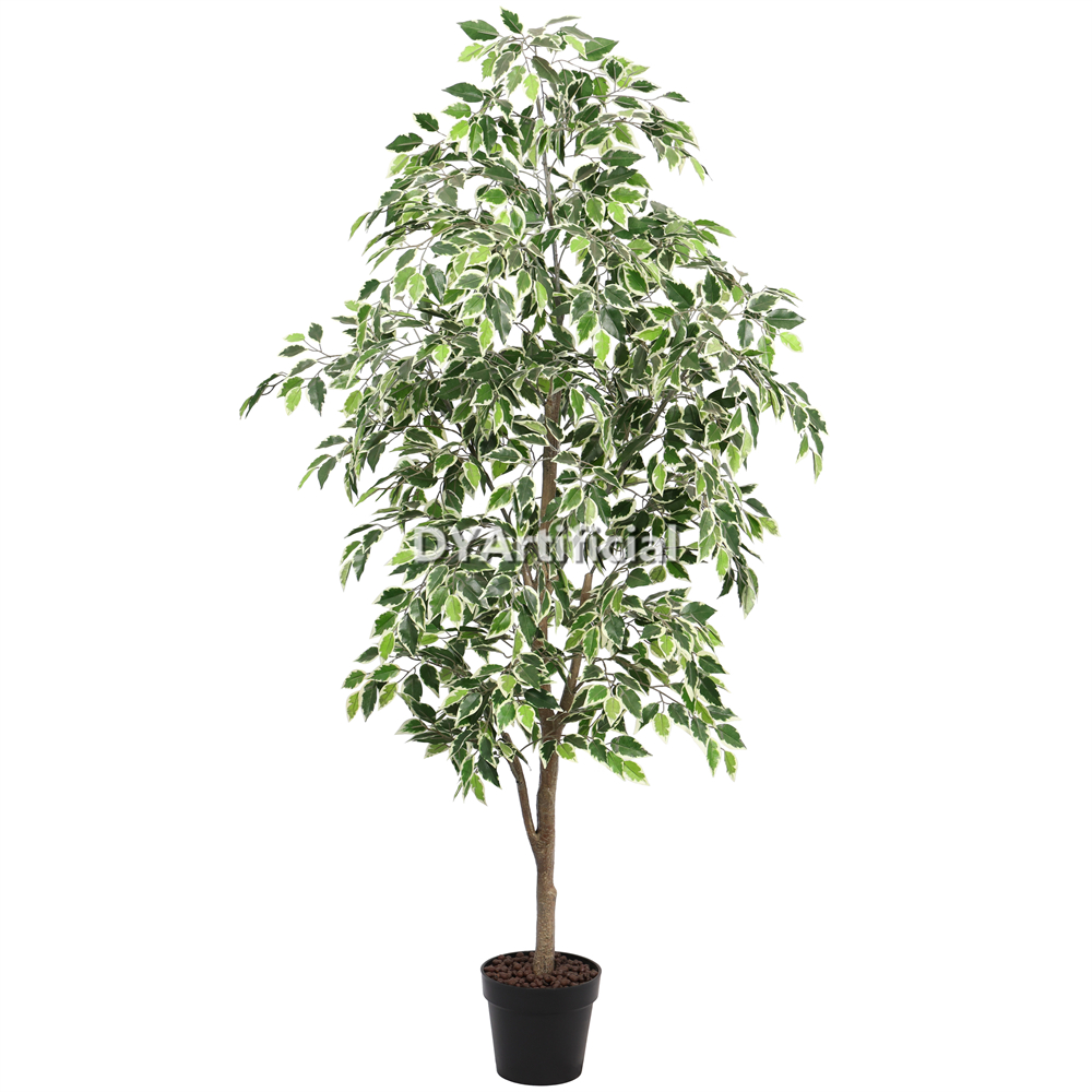 Premium Artificial Bushly White Green Ficus 180CM Indoor