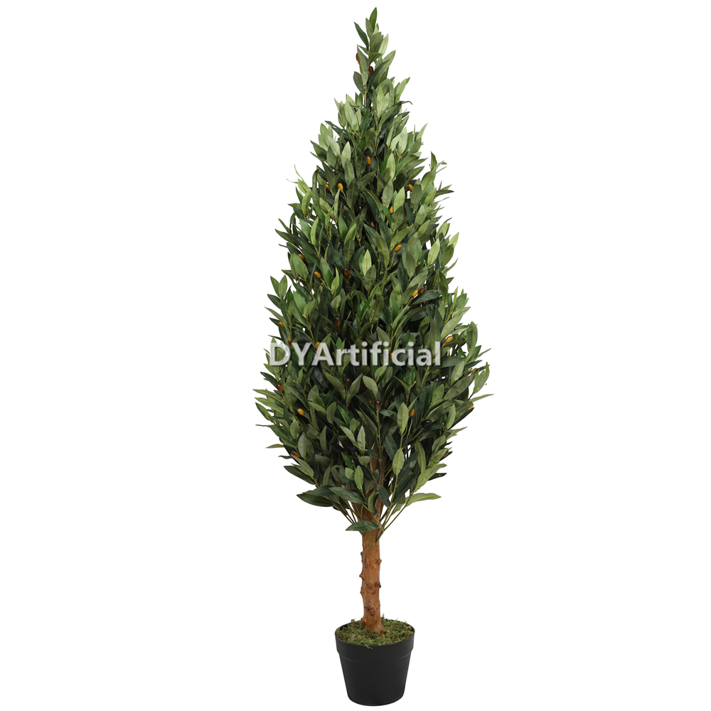 150CM Preserved Wooden Stem Olive Tower Tree