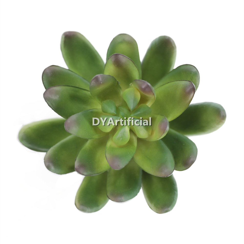 Lotus Middle 10CM Height Indoor