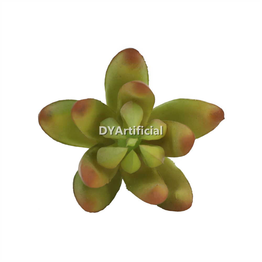 Lotus Small 10CM Height Indoor