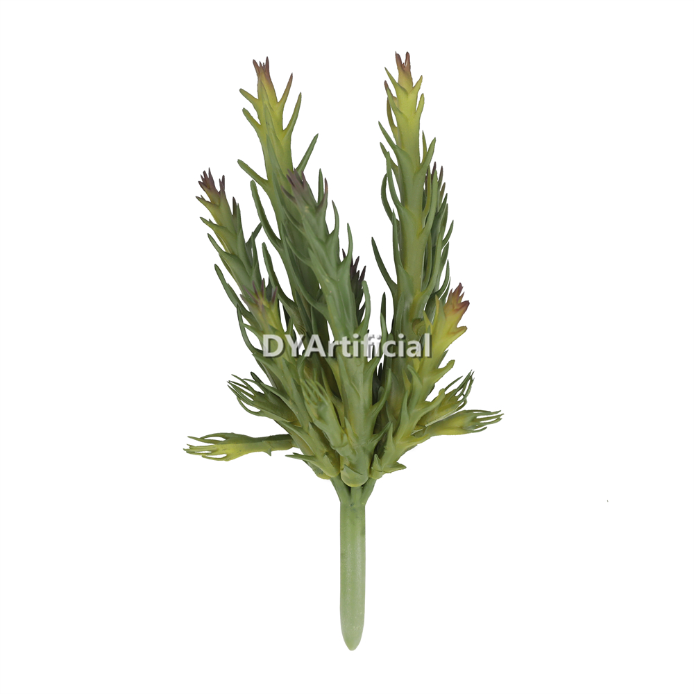 Cactus Fruit 17CM Height Indoor