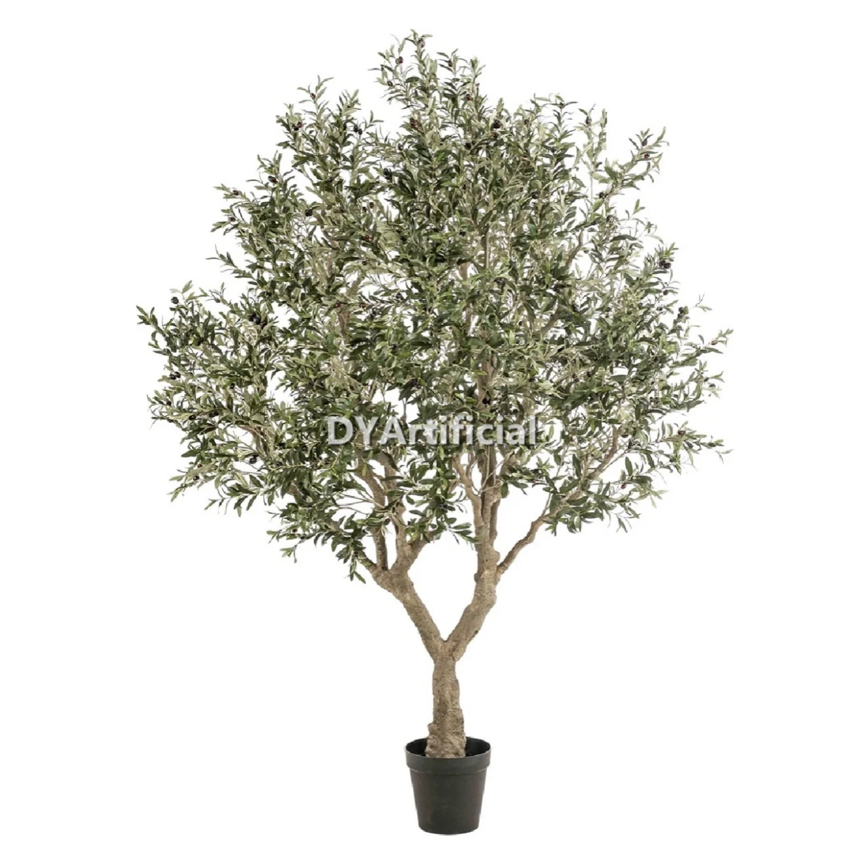Olive Tree Disassembled 250CM Indoor KD