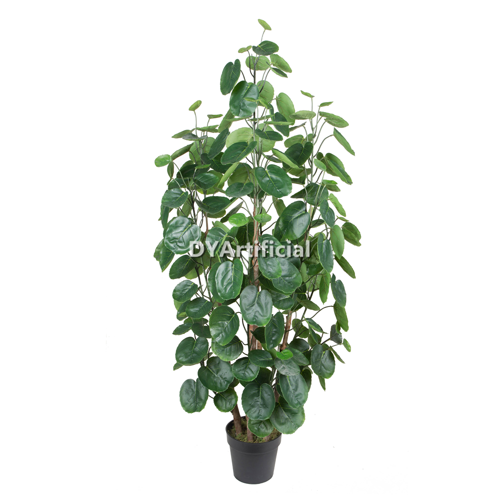 Premium Artificial Polyscias Balfouriana Baile Green Plants 150CM Indoor