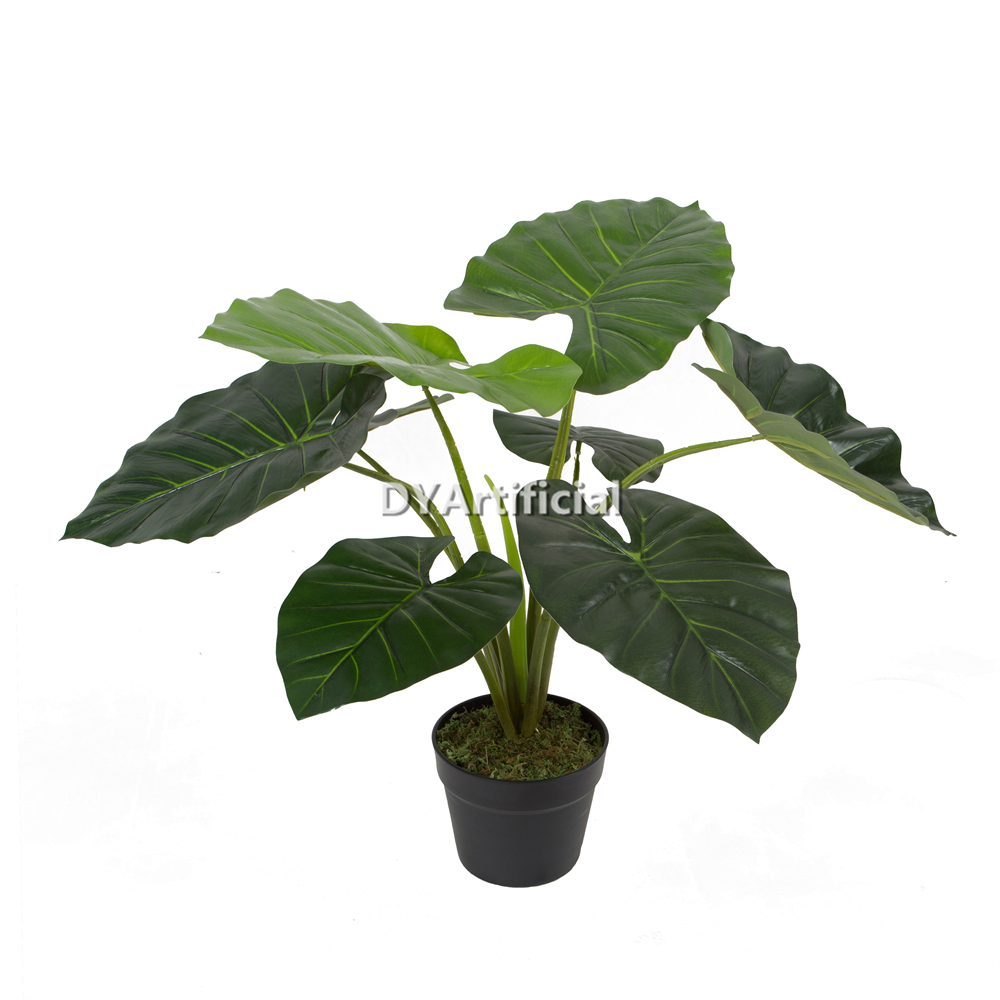 Premium Artificial Big Leaf Taro Tree 60CM Indoor