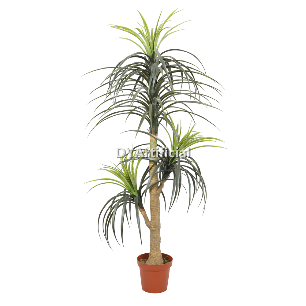 Premium Artificial Nolina Recurvata Tree 145CM Height