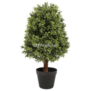 60CM Height Buxus Oval Tree Outdoor UV Protected
