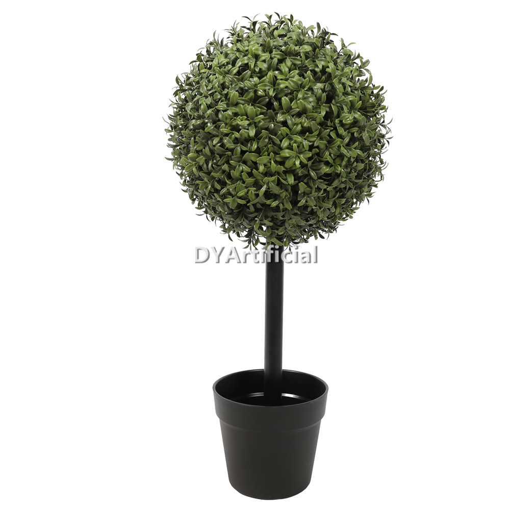 60CM Height Buxus Single Ball Tree 30CM Diameter