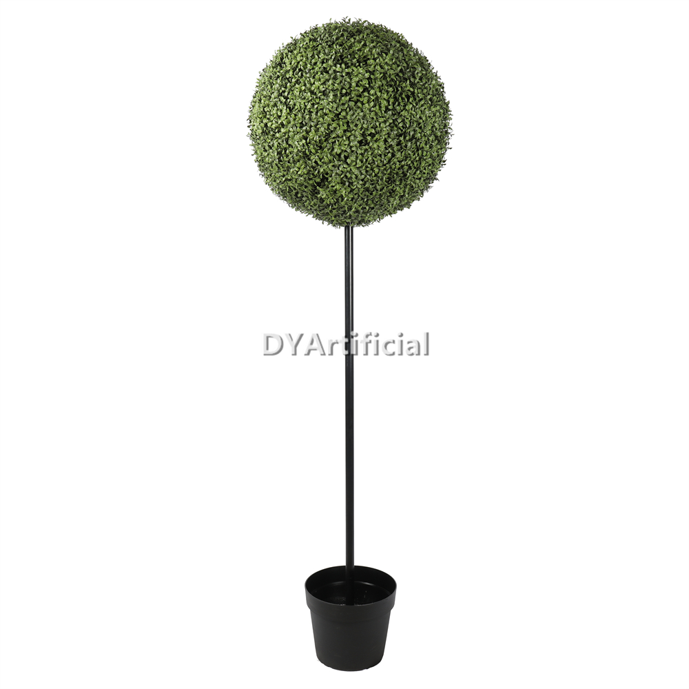 180CM Height Buxus Single Ball Tree 55CM Diameter