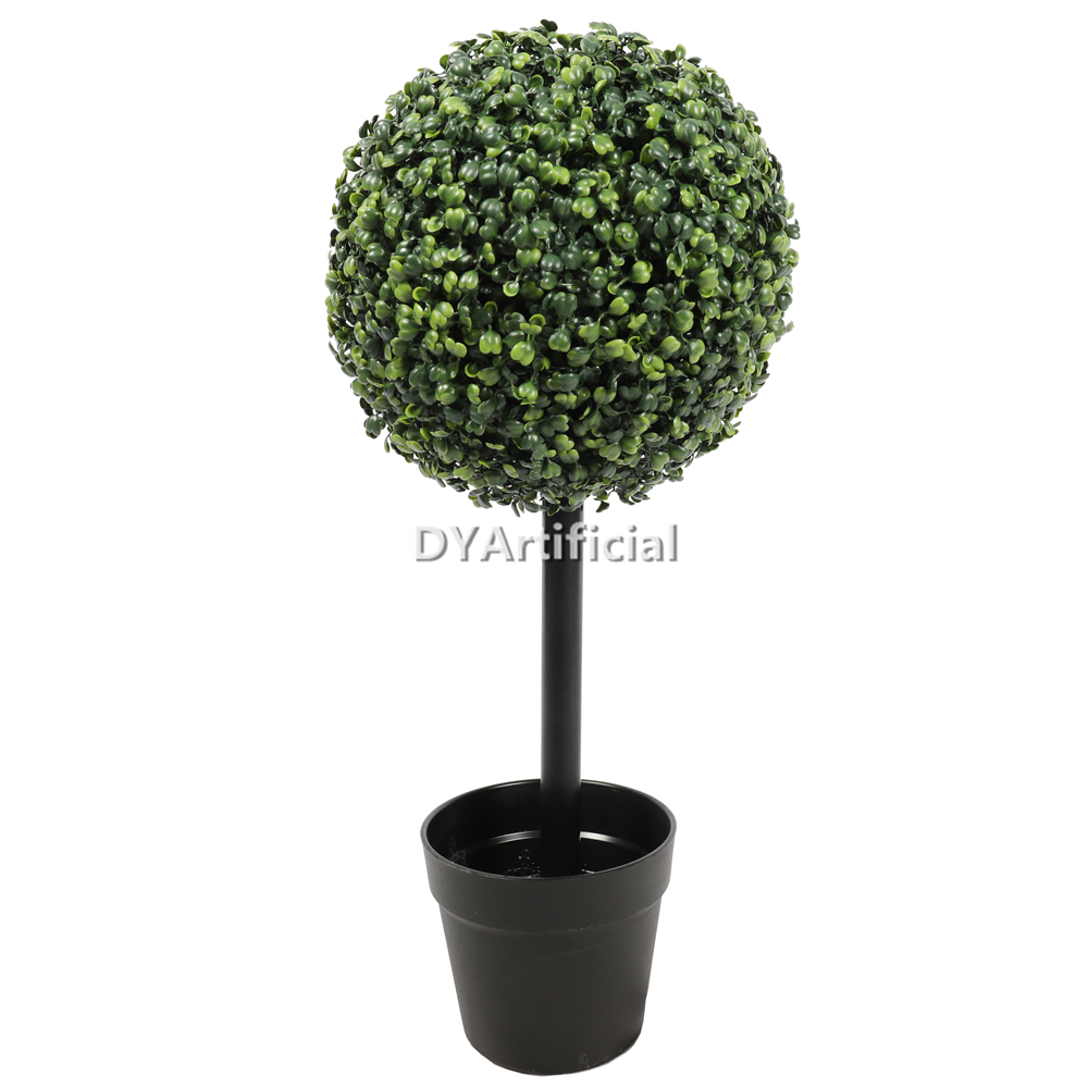 60CM Height Boxwood Single Ball Tree 25CM Diameter