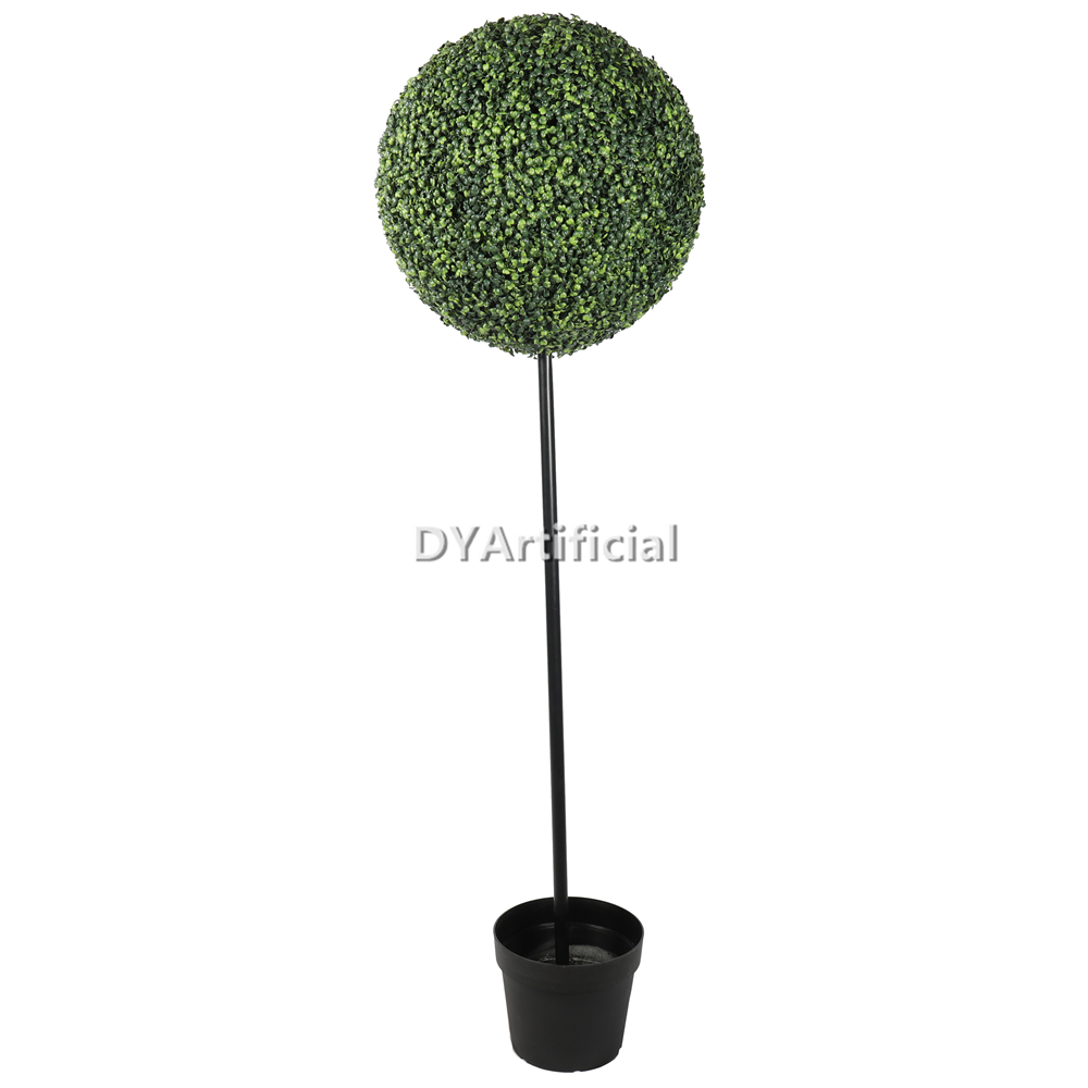 180CM Height Boxwood Single Ball Tree 50CM Diameter