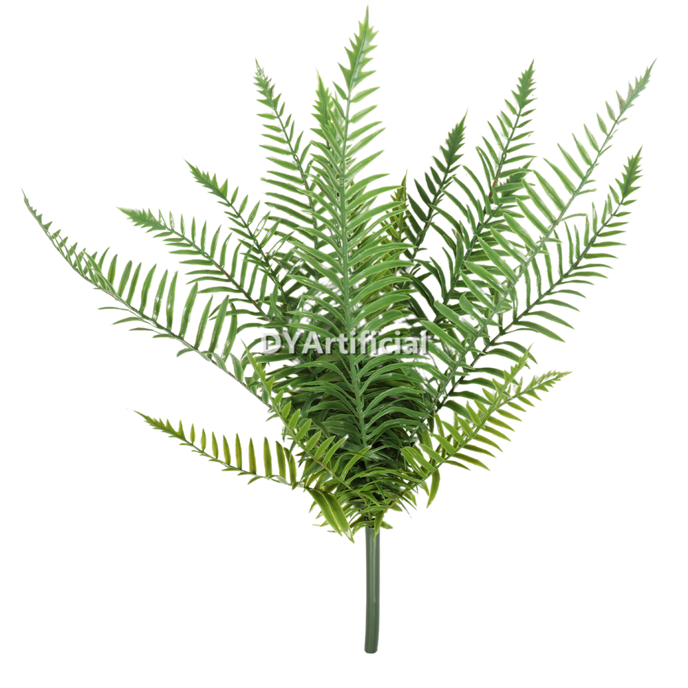 21 Leaves Big Fern Bush New