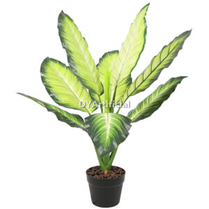80CM Artificial Dieffenbachia Tree White Green Indoor