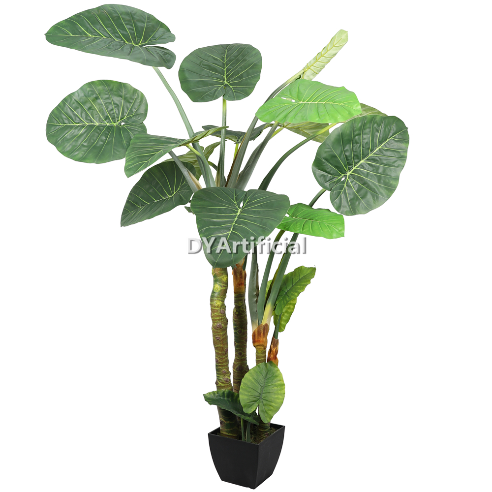 Artificial Colocasza Esculenta 240CM Height Indoor
