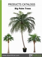 Big Palm Trees Catalog