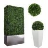 artificial Hedge and Ball Categorys