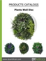 Plants Wall Disc