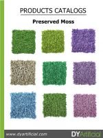Preserved Moss Catalog