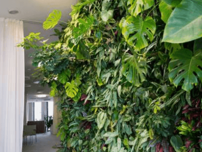 what kind of plants are faux green walls made of